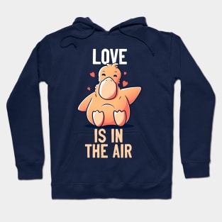 Love Is In The Air Funny Cute Duck Gift Hoodie